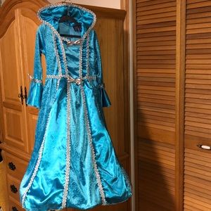 Halloween/Dress-up Costume